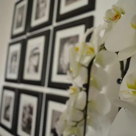 Maison Margot Holiday home Acquaviva Picena